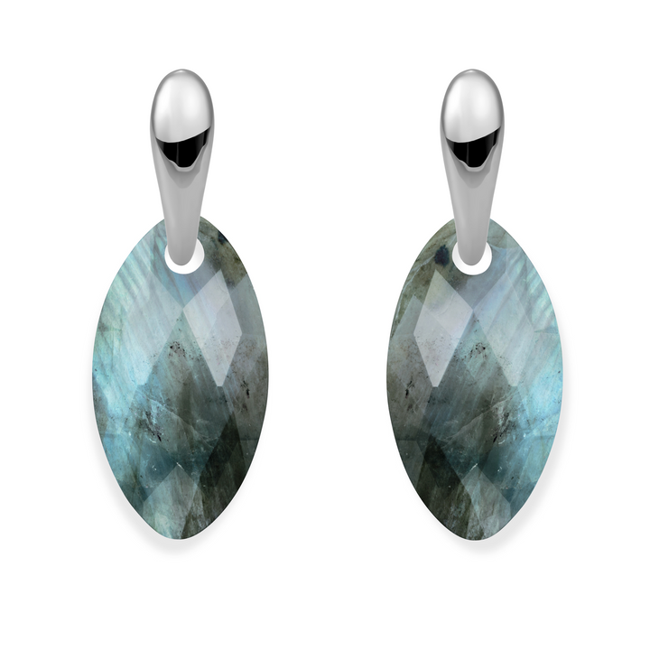 Labradorite Leaf Bold Fuse Earrings Set | Silver