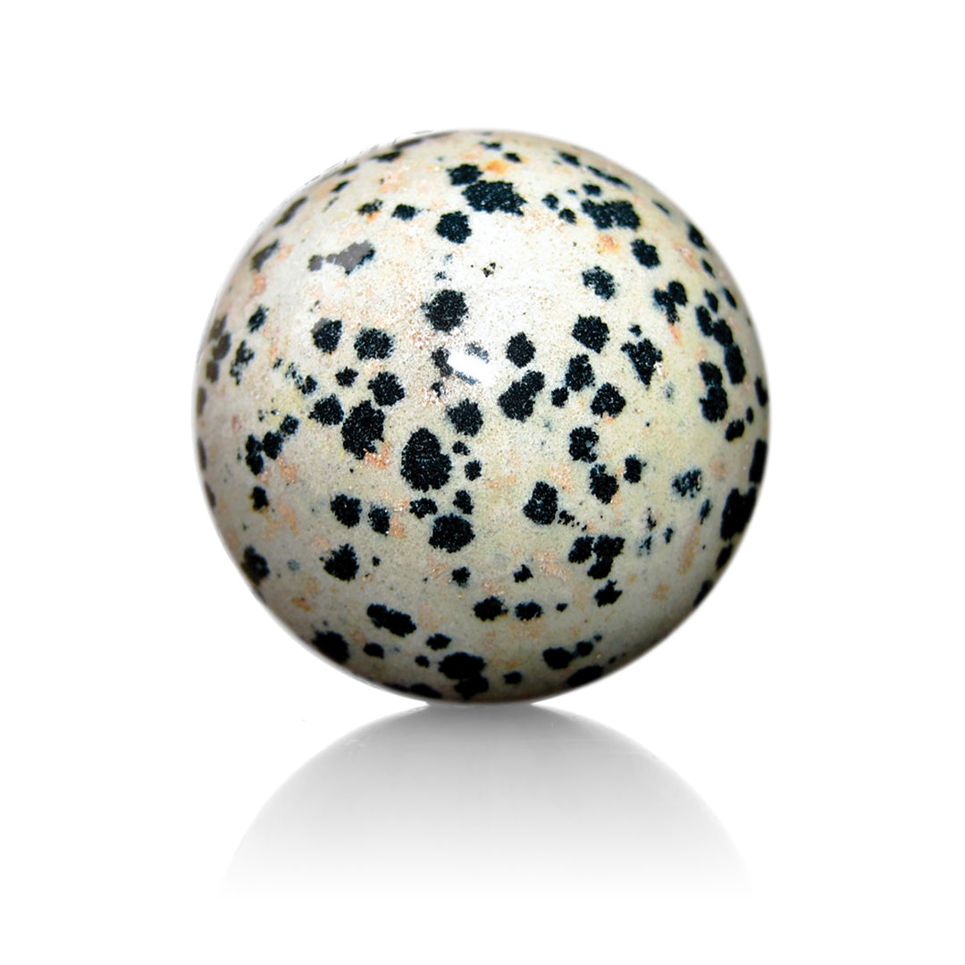 Dalmatian Jasper- 20mm gepolijst - Sparkling Jewels